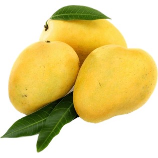 Kesar Mango