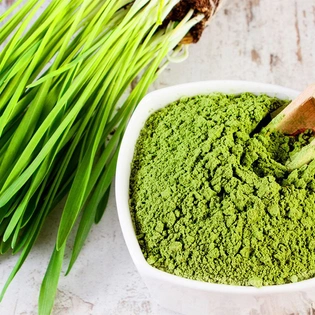 Wheat Grass Powder ( Organic Powder )