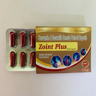 ZOINT PLUS CAPSULE ( PAIN MANAGMENT ) 500 mg