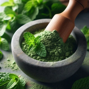 Mint Leaf Powder ( Organic Powder )