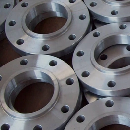 Stainless Steel Flanges