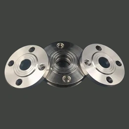 Duplex Stainless Steel Flanges