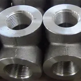 Duplex Steel S31803/S32205 Forged Fittings