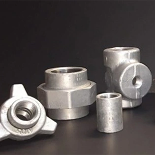 Hastelloy C22/C276 Forged Fittings