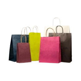 COLOURED PAPER BAG