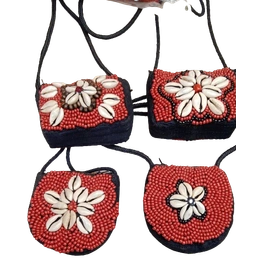 Beads & Shell Purse-BSP06