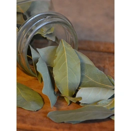 Bay Leaf