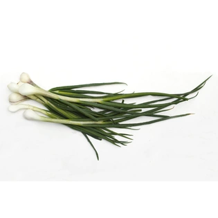 Green Onion