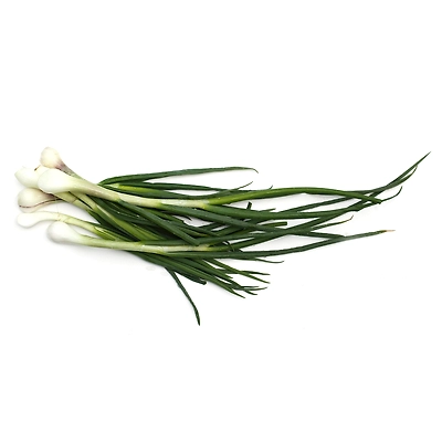 Mars Export Green Onion