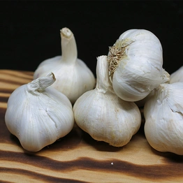 Garlic