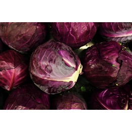 Red Cabbage