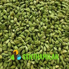 Senthamilan Private Limited 8 mm Green Cardamom