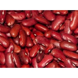 Satyaa Red Kidney Beans