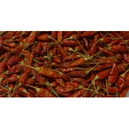 Dry Red Chilies