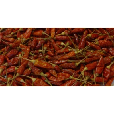 Dry Red Chilies