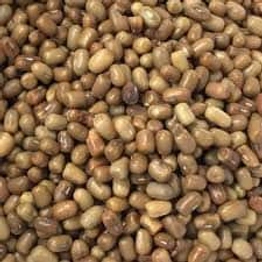 Turkish gram / Moth bean