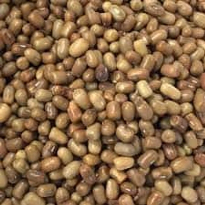 Turkish gram / Moth bean