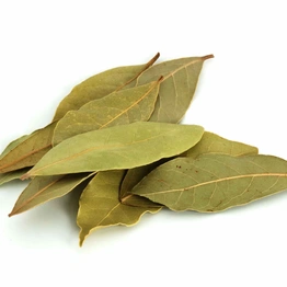 Bay-leaf