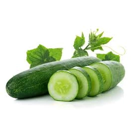 Cucumber