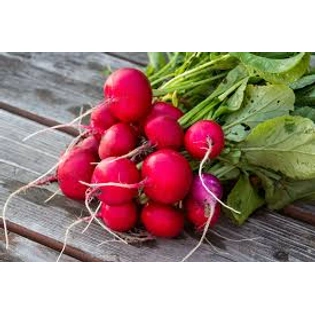 Radish