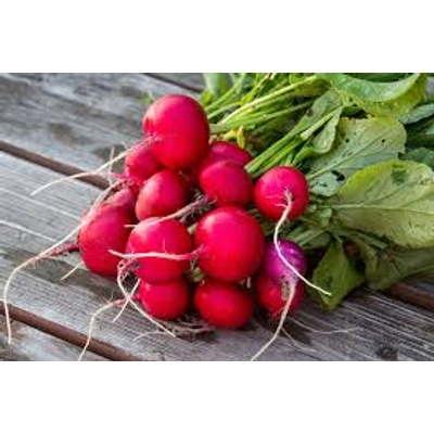 Radish