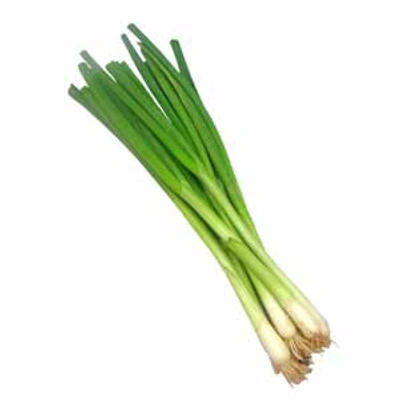 Spring Onion