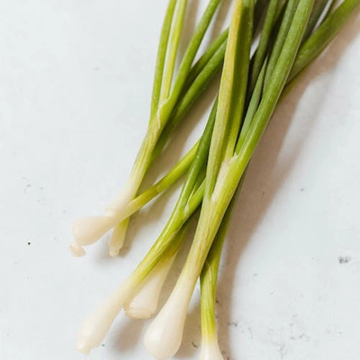 Spring onion