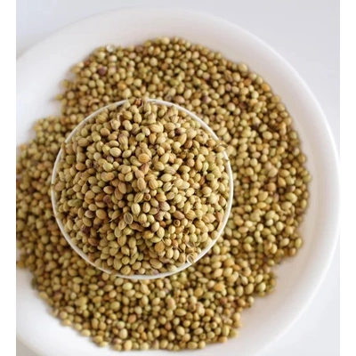 Coriander Seeds