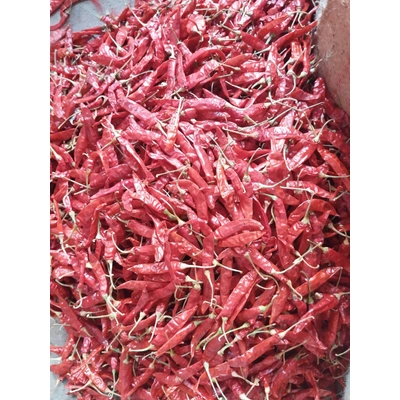 Dried Red Chilly