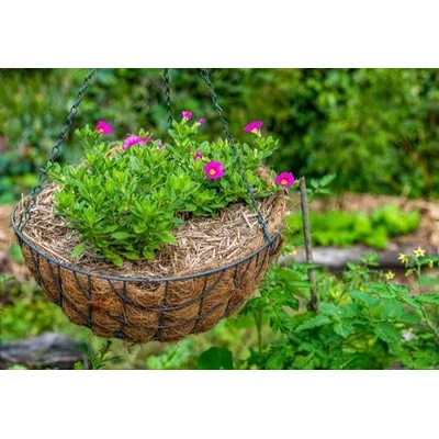 Conical Basket 5 Inches