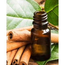 Cinnamon Oil