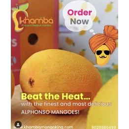 Indian Devgad and Ratnagiri Alphonso Mangoes