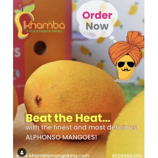 Indian Ratnagiri Alphonso Mangoes