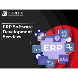 Duplex Technologies ERP Software Development Service