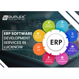 Duplex Technologies ERP Software Development Service in Lucknow