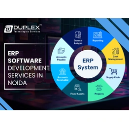 Duplex Technologies ERP Software Development Service in Noida