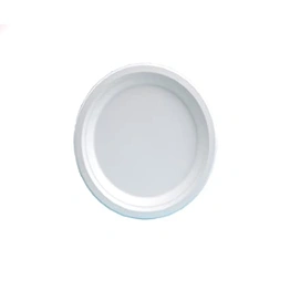 Bagasse 9 Plain Plates