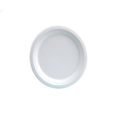 Bagasse 9 Plain Plates