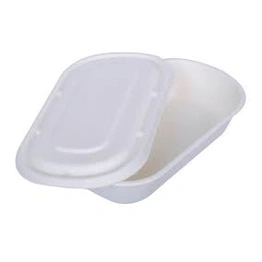 Bagasse 1000 ml Oval Container with Lid Packet of 50