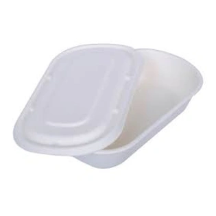 Bagasse 500 ml Oval Container with Lid Packet of 50