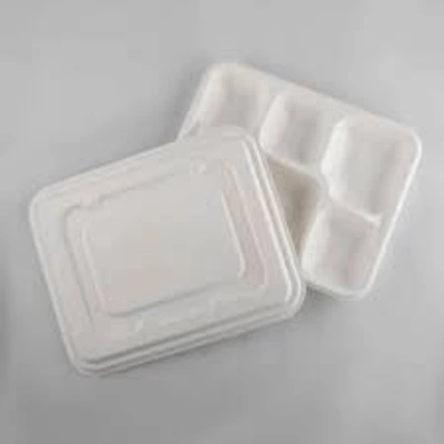 Bagasse 5 Compartment Tray Packet of 50 Tray