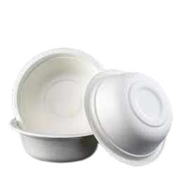 Bagasse 350 ml Bowl Packet of 50 Bowls