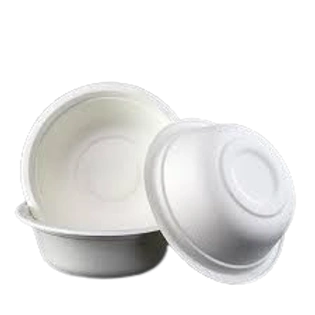 Bagasse 100 ml Bowl Packet of 50 Bowls