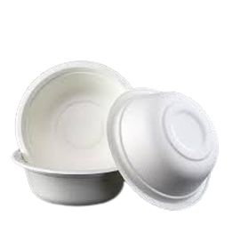 Bagasse 180 ml Bowl Packet of 50 Bowls