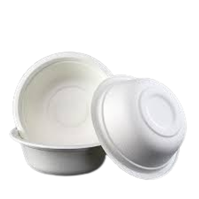 Bagasse 180 ml Bowl Packet of 50 Bowls