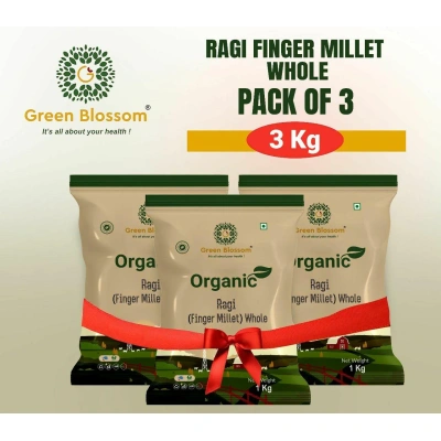 Organic Ragi Atta / Finger Millet Flour - 3 Kg (1 Kg, Pack of 3) I Green Blossom