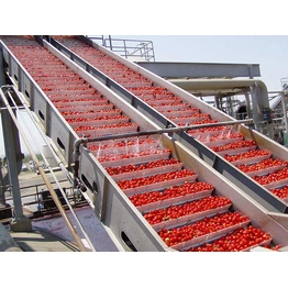 Tomato puree processing plant