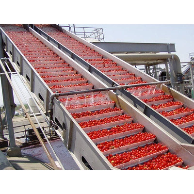 Tomato puree processing plant