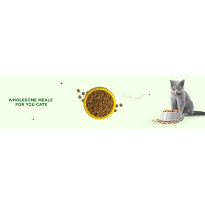 pet cat food