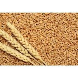 Natural wheat grains